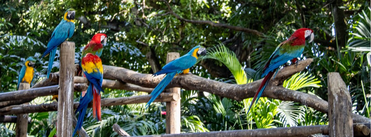 Fondest Travel Memories